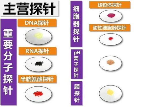 生物醫藥技術聯合實驗室 推動醫藥技術創新的重要平臺